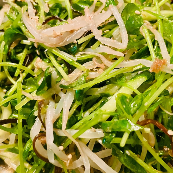 きゅうりともやしと豆苗のナムル
